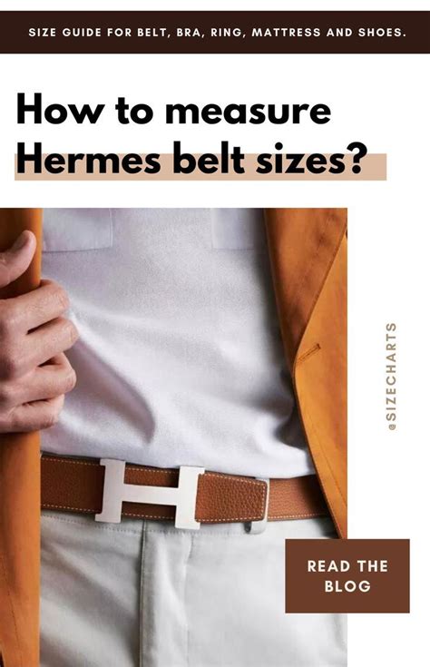 hermes belt length transparent